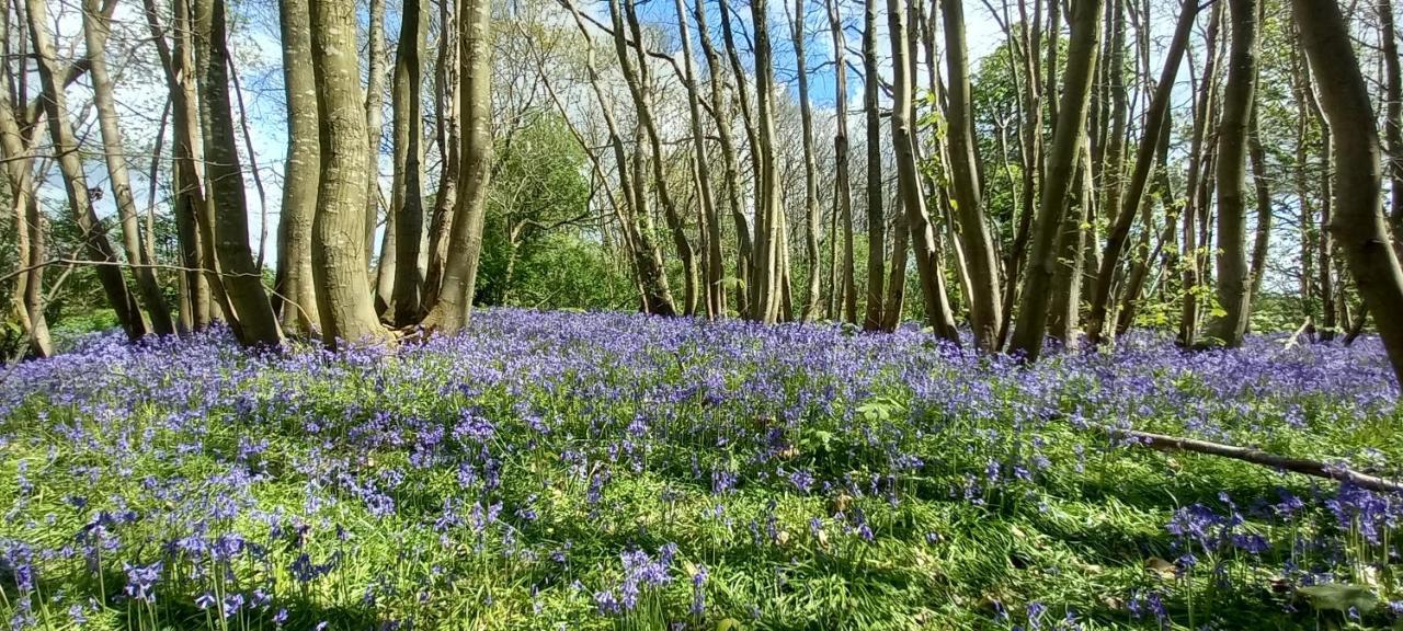 Plumpton House Hotell Ashford  Eksteriør bilde