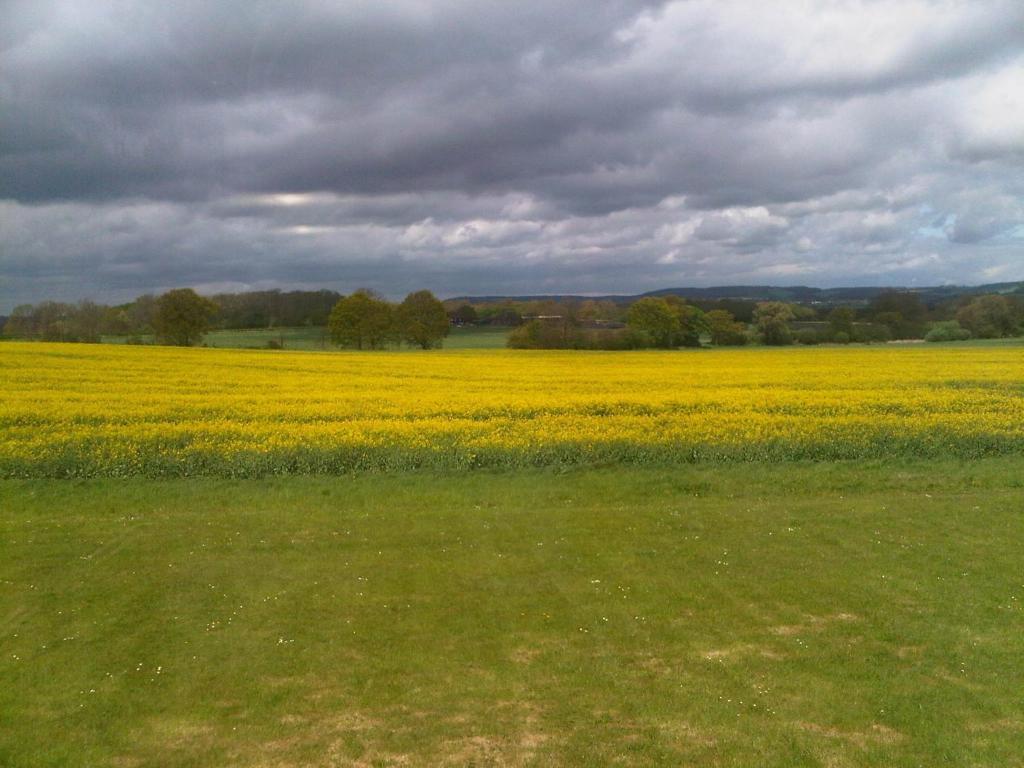 Plumpton House Hotell Ashford  Eksteriør bilde